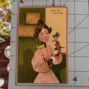 Antique 1908 Comic Postcard – “They All Have a Mate but Me!” Spinster Humor